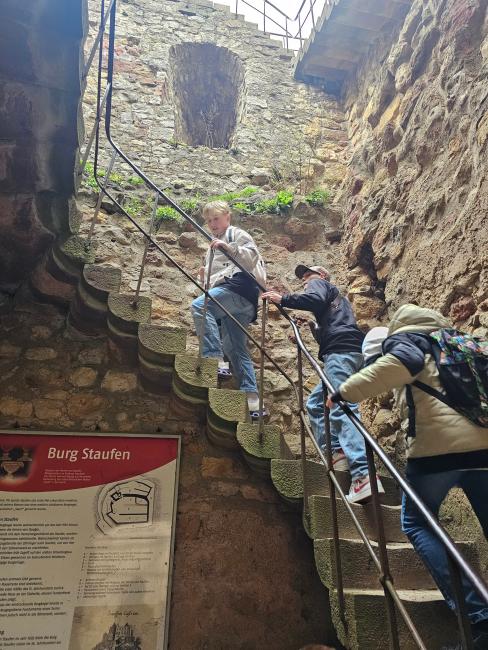 Burg