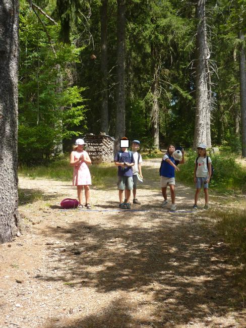 wandern